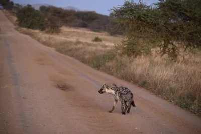 DSC_3714 (Large).JPG